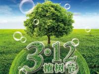 义务植树,放下木材,提倡爱游戏买球-爱游戏（中国）装饰管!